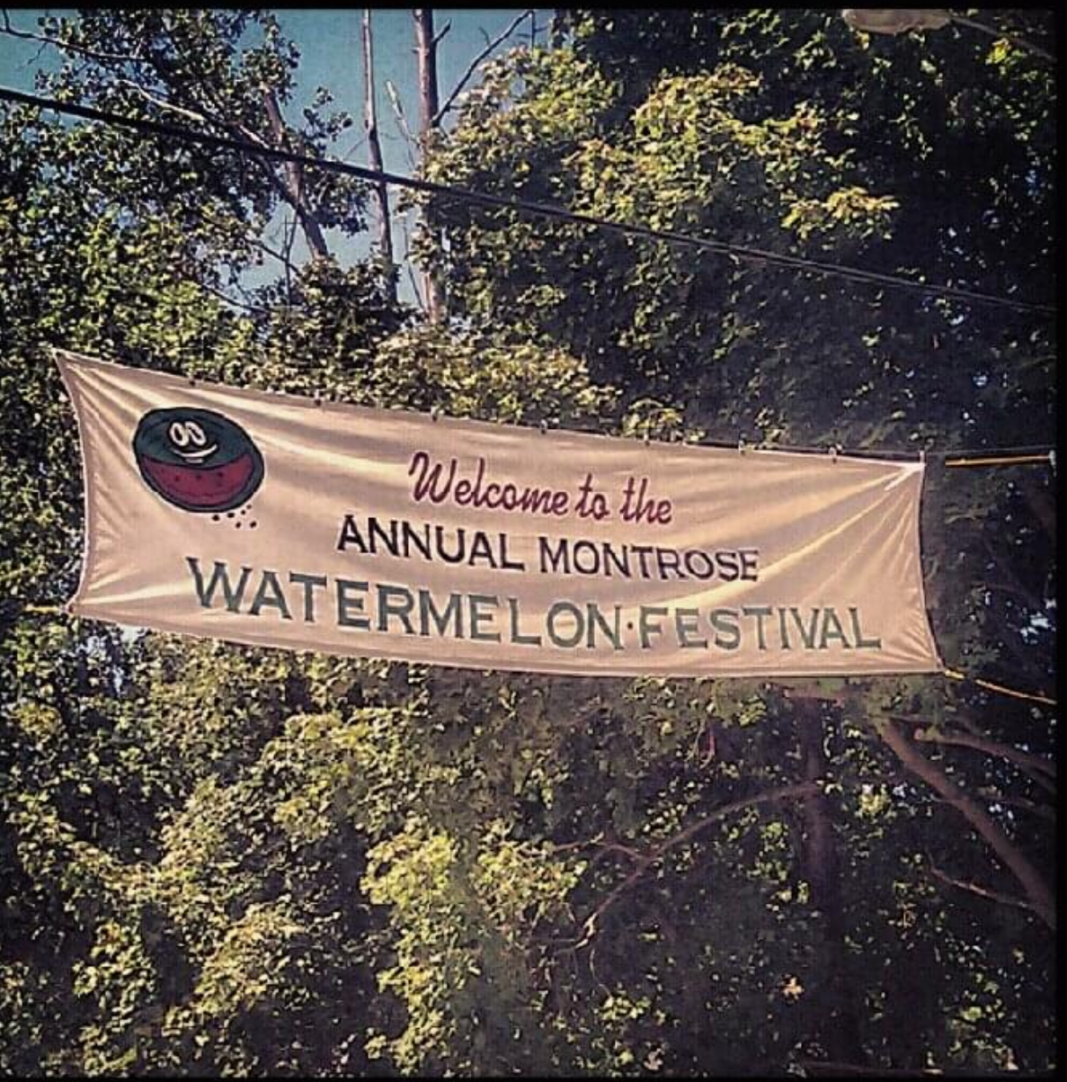 festival banner